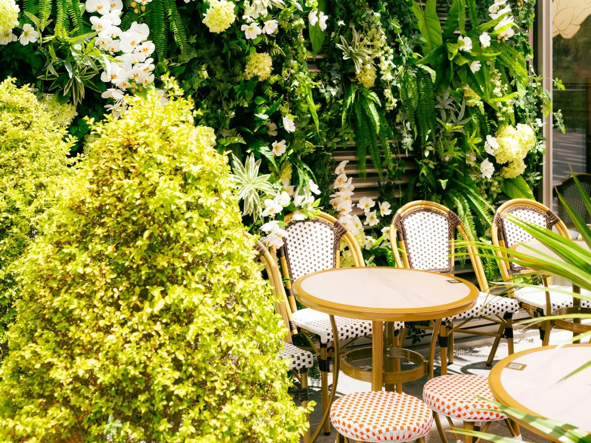 Local comercial con plantas