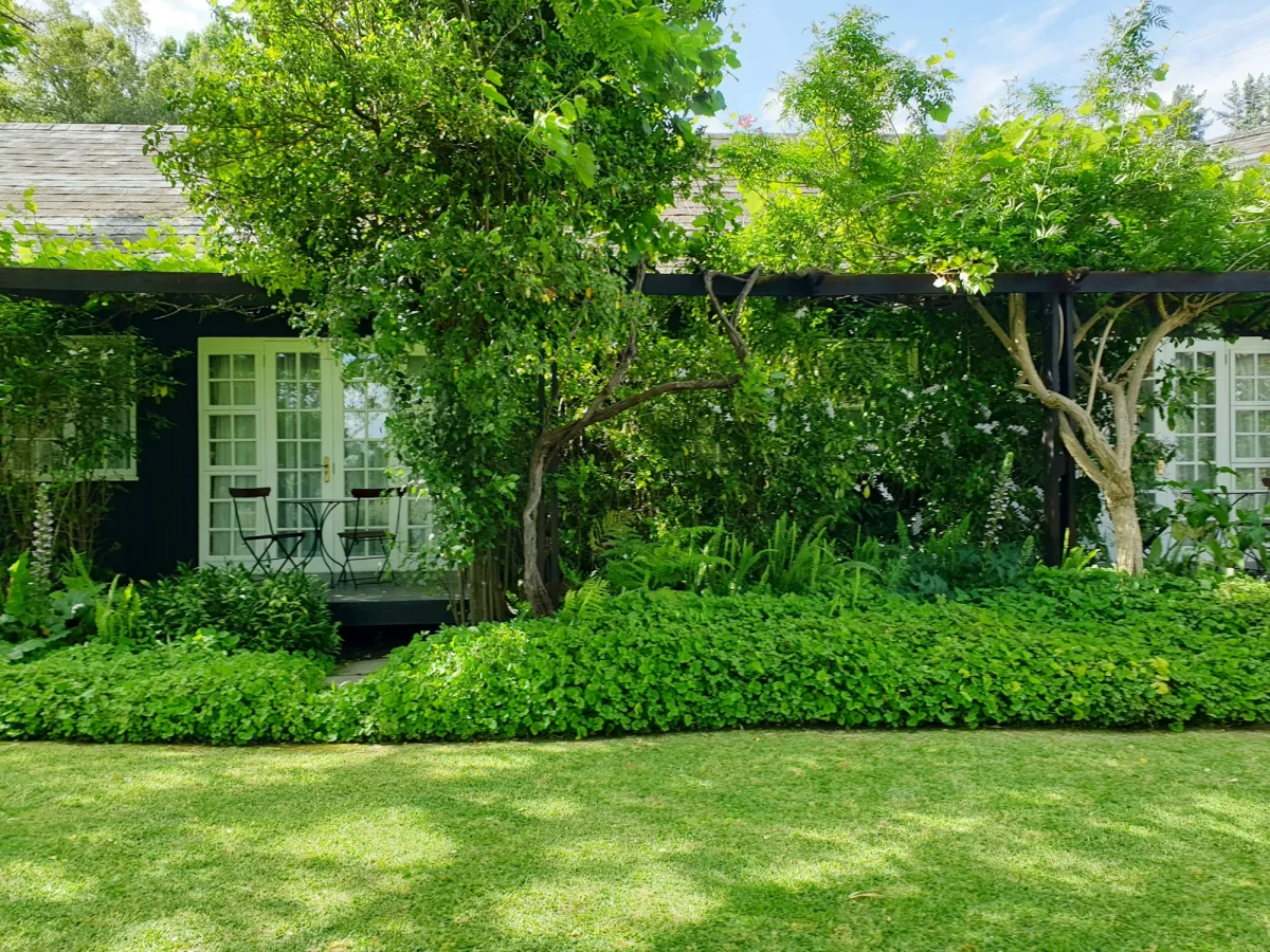 Jardín exterior diseñado