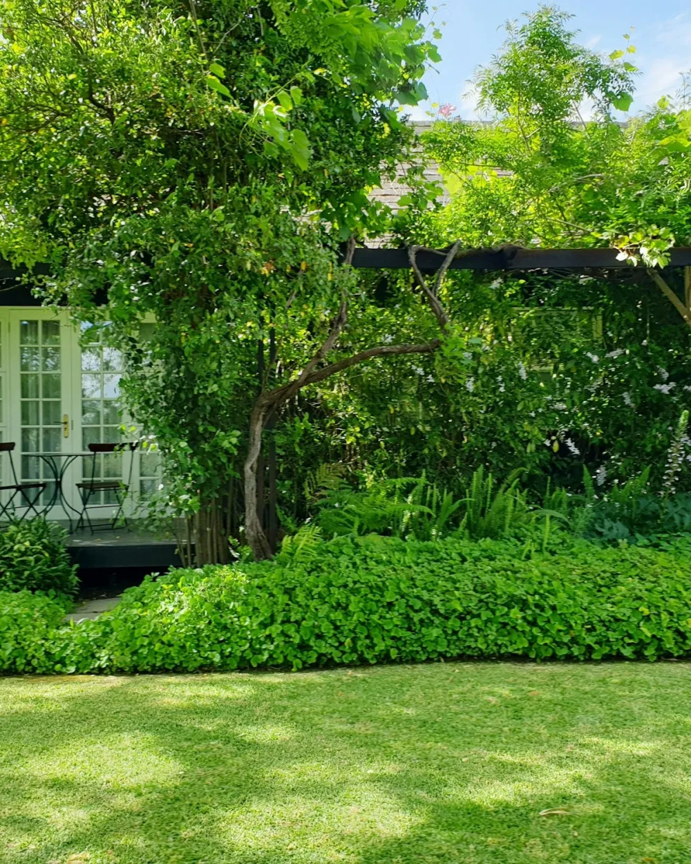 Jardín diseñado