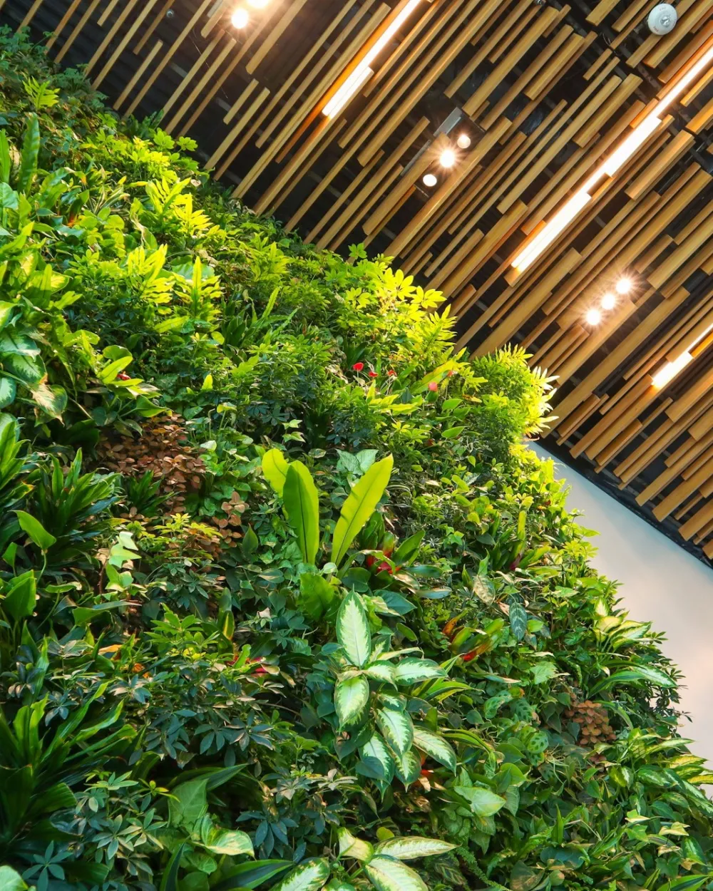 Muro verde con diseño e iluminación